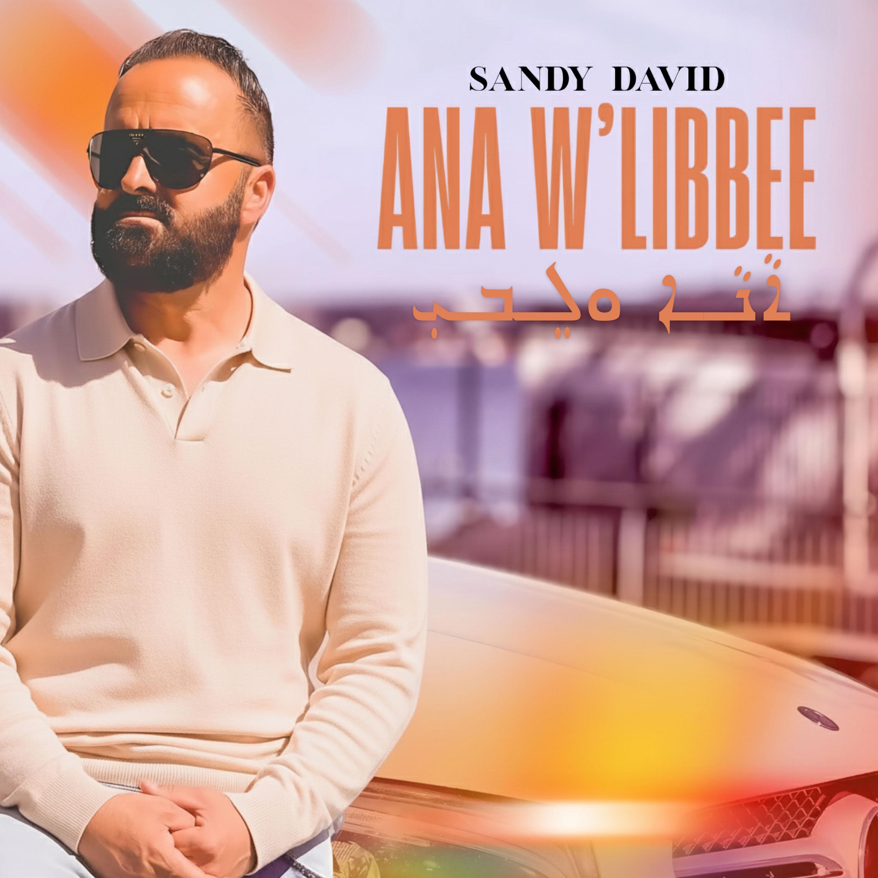 Ana W'Libbee by Sandy David | Qeenatha Music